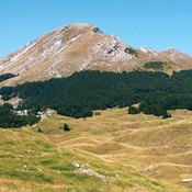 Poziv na volontiranje na 11. Smotri izviđača Hrvatske 